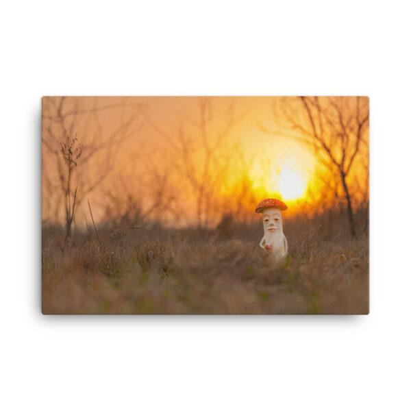 S-0009 Canvas (1.5" deep): "Bachelor (far)" (choose size)