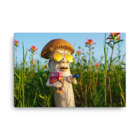S-0043 Canvas (1.5" deep): "Cheezy" (choose size)