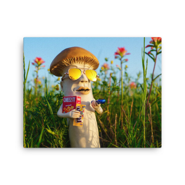 S-0043 Slim Canvas (0.75" deep): "Cheezy" (choose size) - Image 3