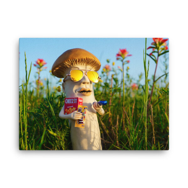 S-0043 Slim Canvas (0.75" deep): "Cheezy" (choose size) - Image 4
