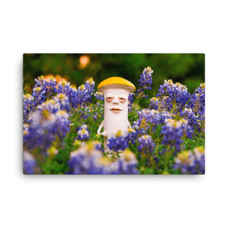 S-0041 Slim Canvas (0.75" deep): "Bluebonnet Yellow" (choose size)