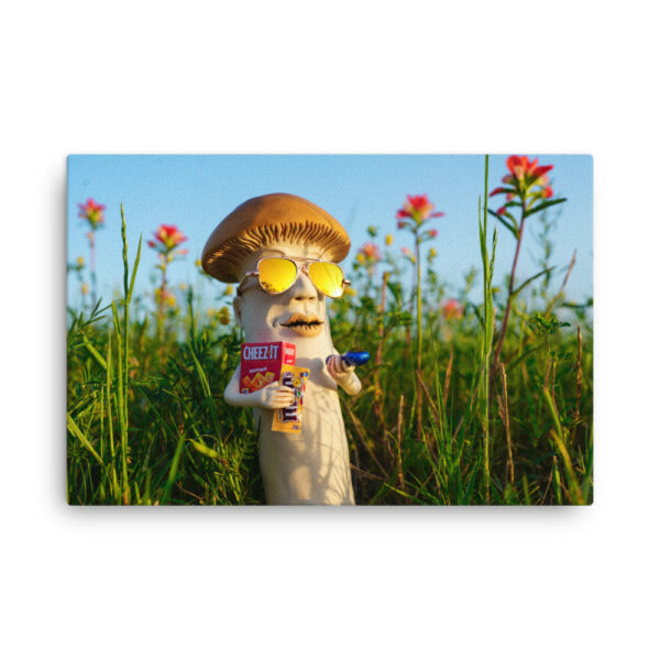 S-0043 Slim Canvas (0.75" deep): "Cheezy" (choose size)