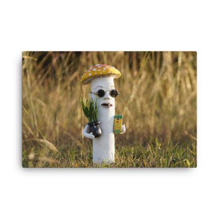 S-0044 Slim Canvas (0.75" deep): "Miracle Bro" (choose size)